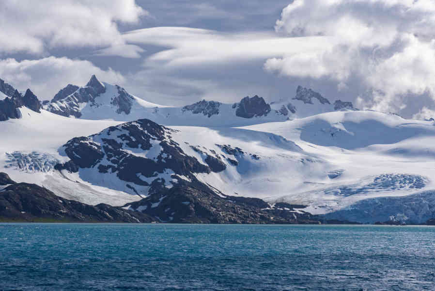 Islas Georgias del Sur 004.jpg